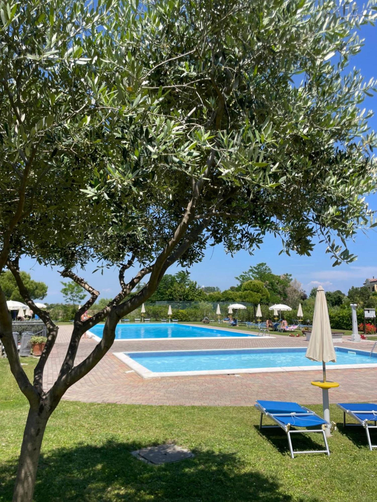 Calilla Home-appartamento Scirocco Apartment